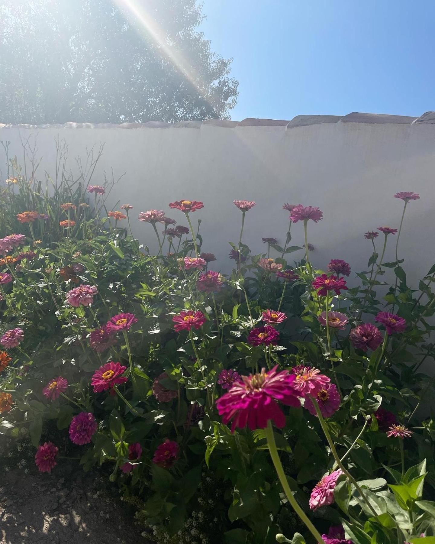 Cortijo El Prado L Villa Castril Exteriör bild